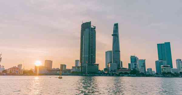 松果浏览器