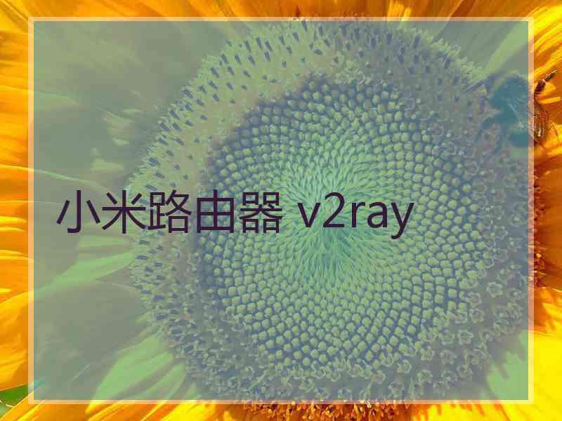 小米路由器 v2ray