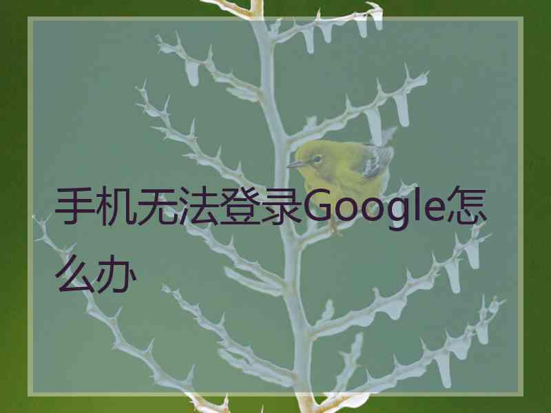 手机无法登录Google怎么办