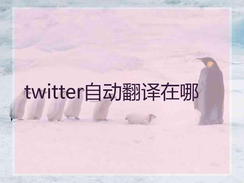 twitter自动翻译在哪