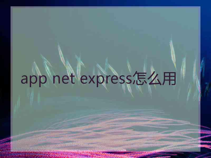 app net express怎么用