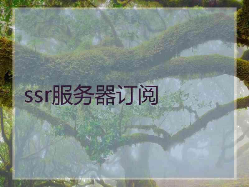 ssr服务器订阅