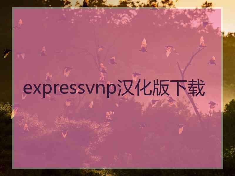 expressvnp汉化版下载