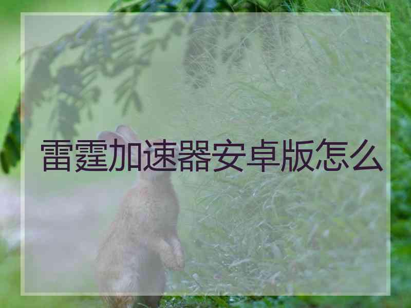 雷霆加速器安卓版怎么