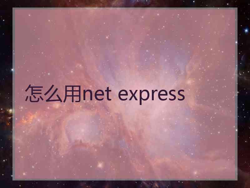 怎么用net express