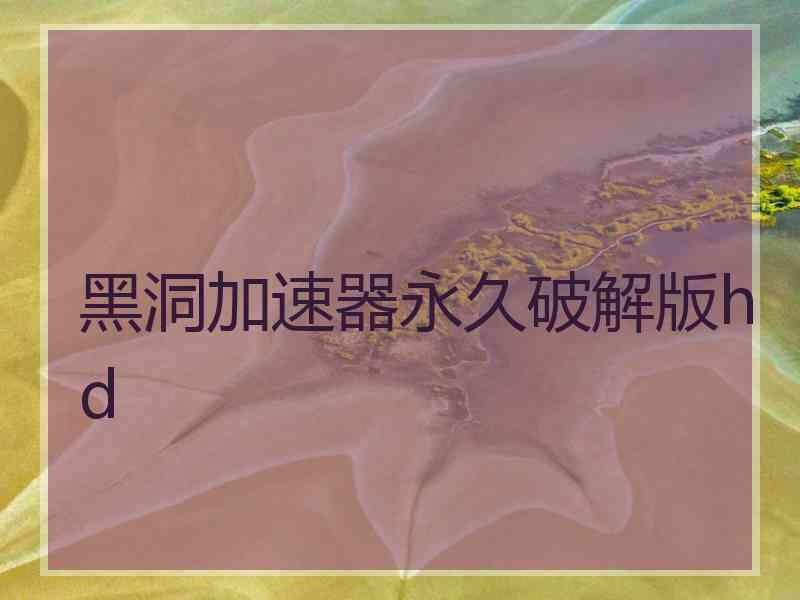 黑洞加速器永久破解版hd