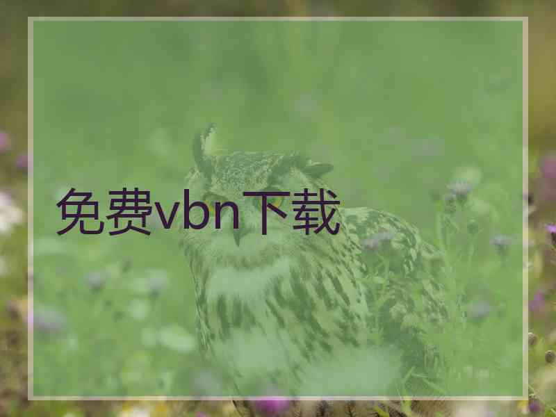 免费vbn下载