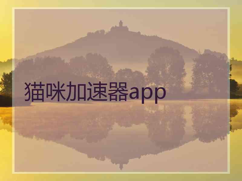 猫咪加速器app