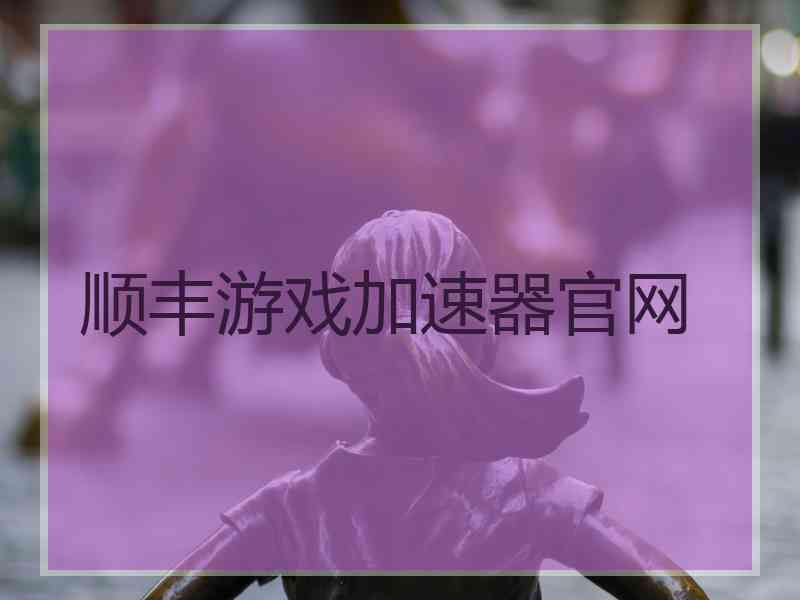 顺丰游戏加速器官网