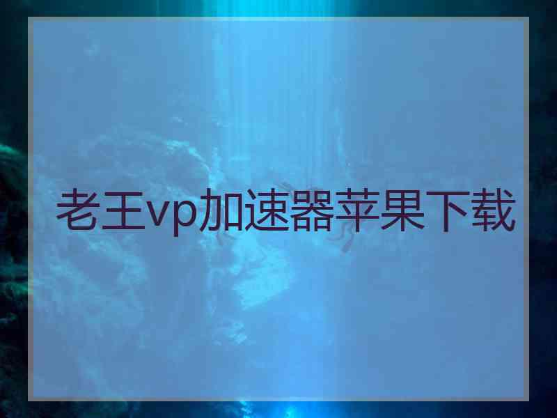 老王vp加速器苹果下载