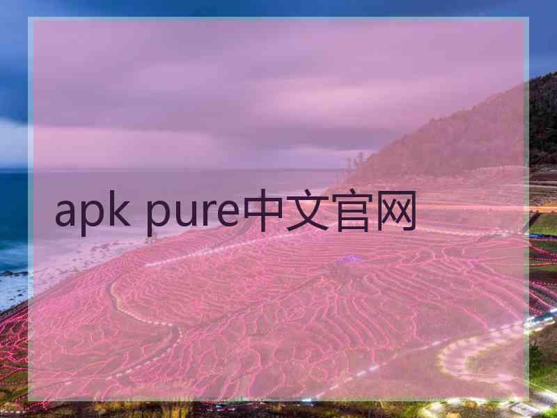 apk pure中文官网