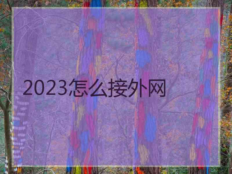 2023怎么接外网