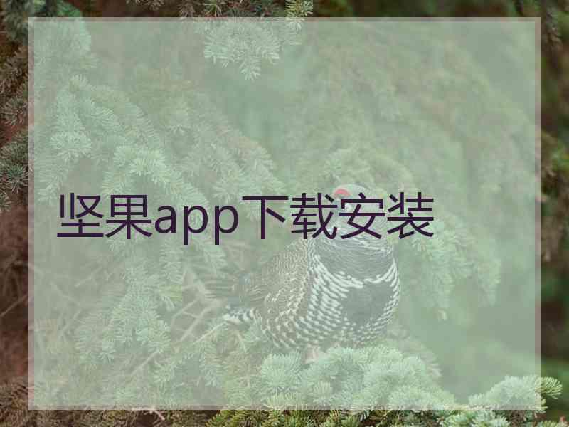 坚果app下载安装