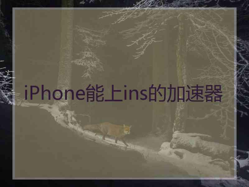 iPhone能上ins的加速器