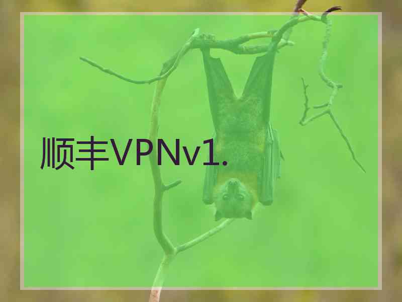 顺丰VPNv1.