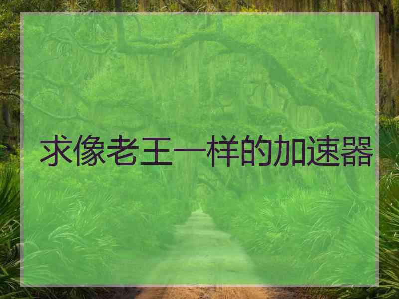 求像老王一样的加速器