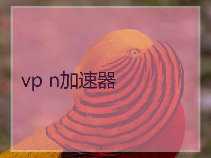 vp n加速器