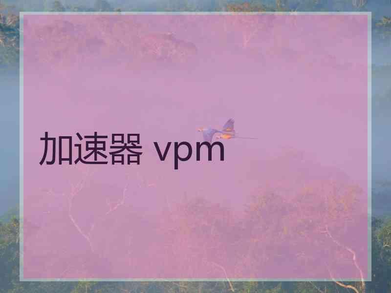 加速器 vpm