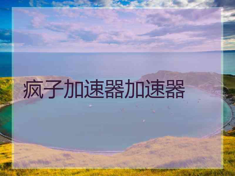 疯子加速器加速器