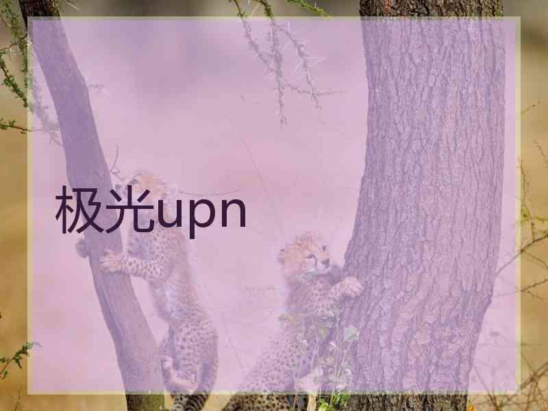 极光upn