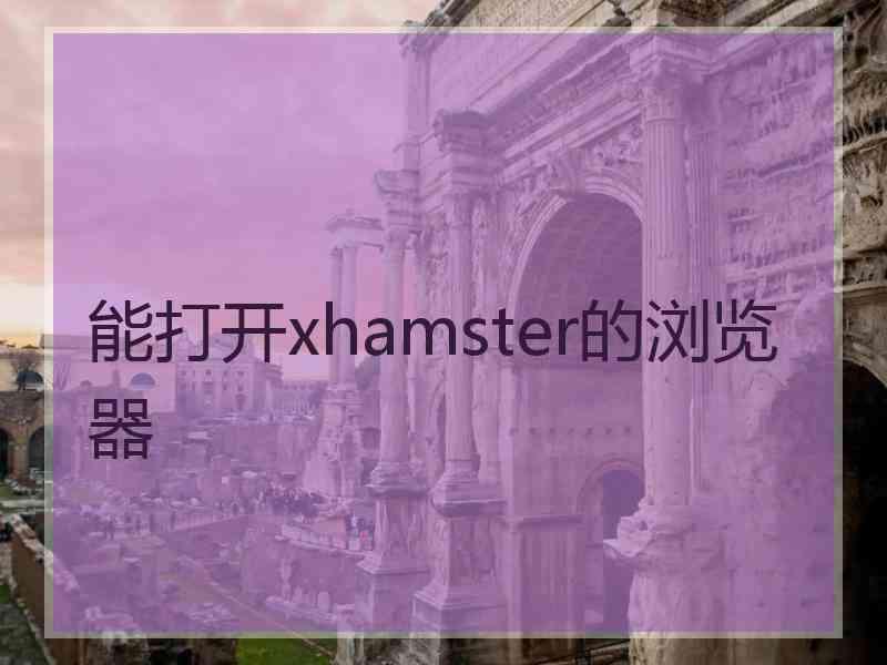 能打开xhamster的浏览器