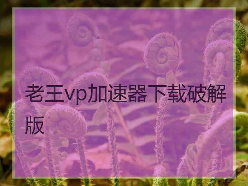 老王vp加速器下载破解版