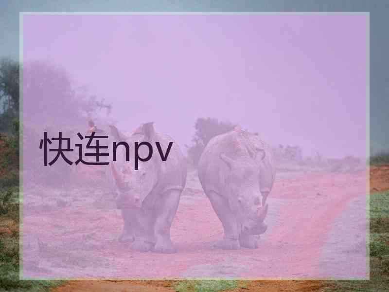 快连npv