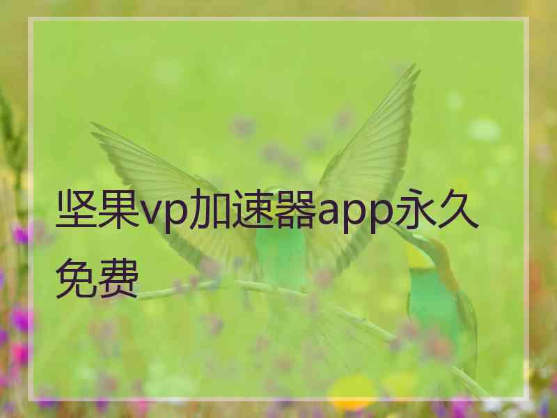 坚果vp加速器app永久免费