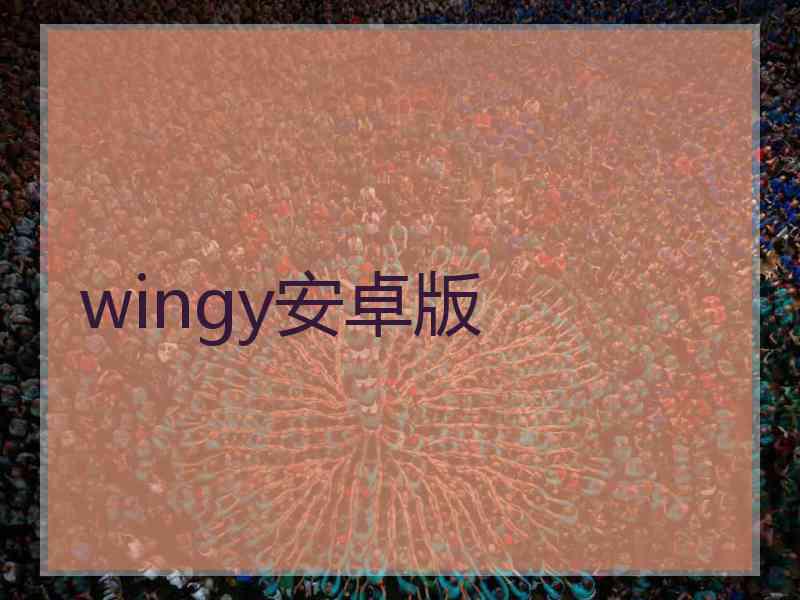 wingy安卓版