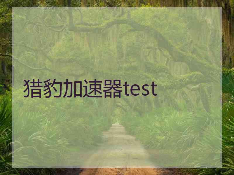 猎豹加速器test