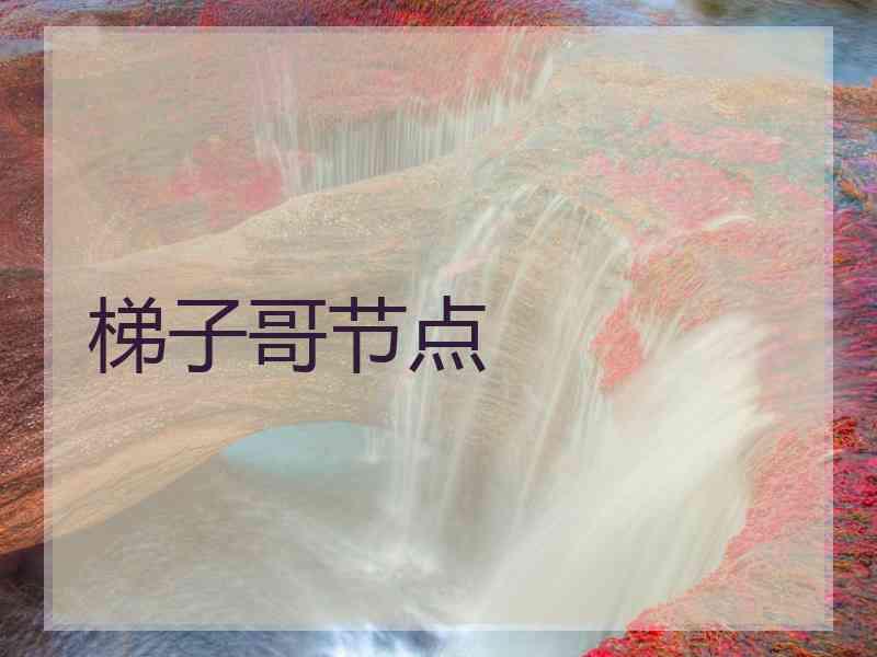 梯子哥节点