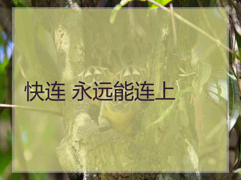 快连 永远能连上