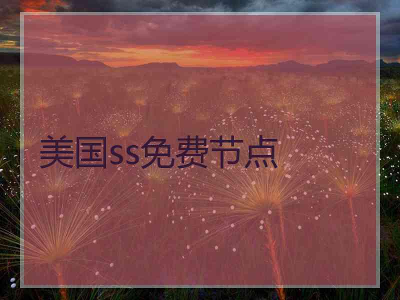 美国ss免费节点