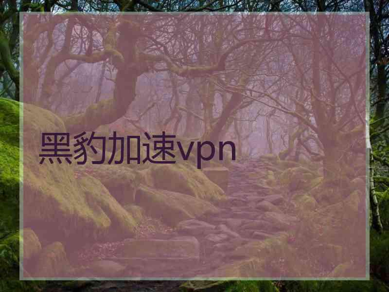 黑豹加速vpn