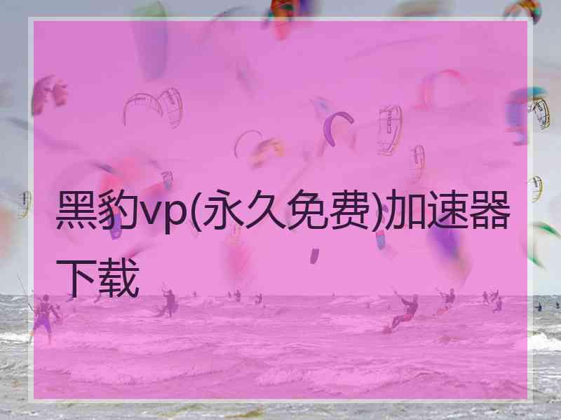 黑豹vp(永久免费)加速器下载