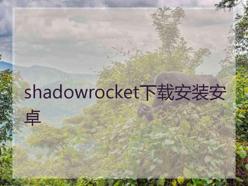 shadowrocket下载安装安卓