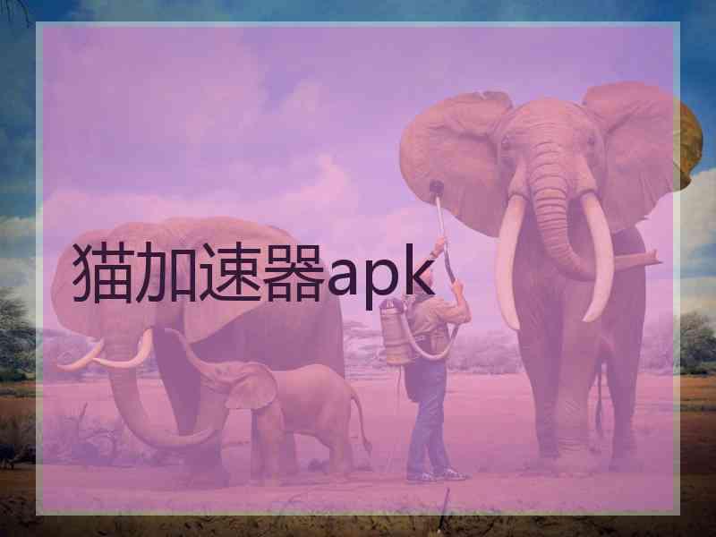 猫加速器apk