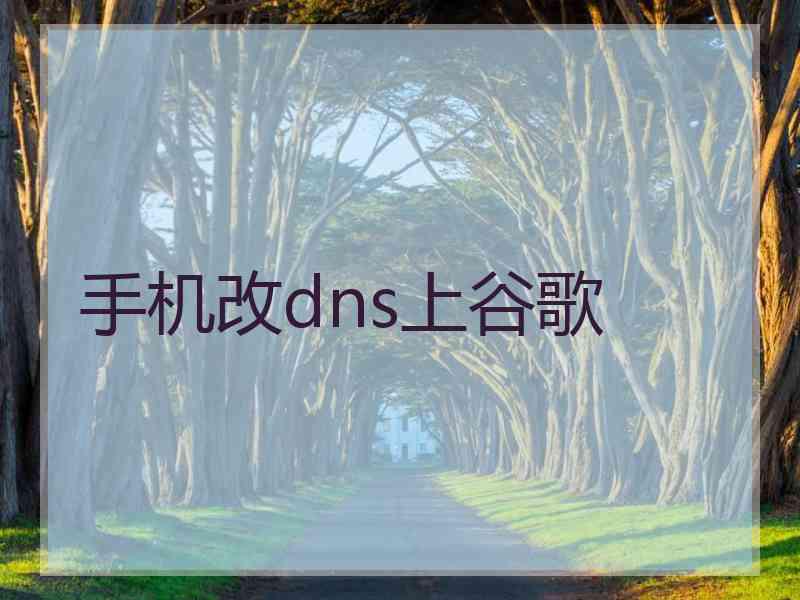 手机改dns上谷歌