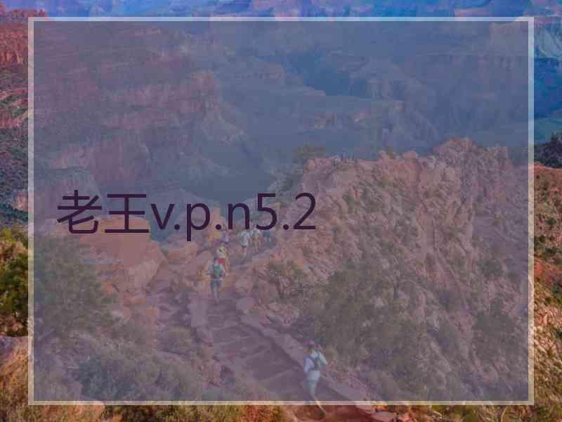 老王v.p.n5.2