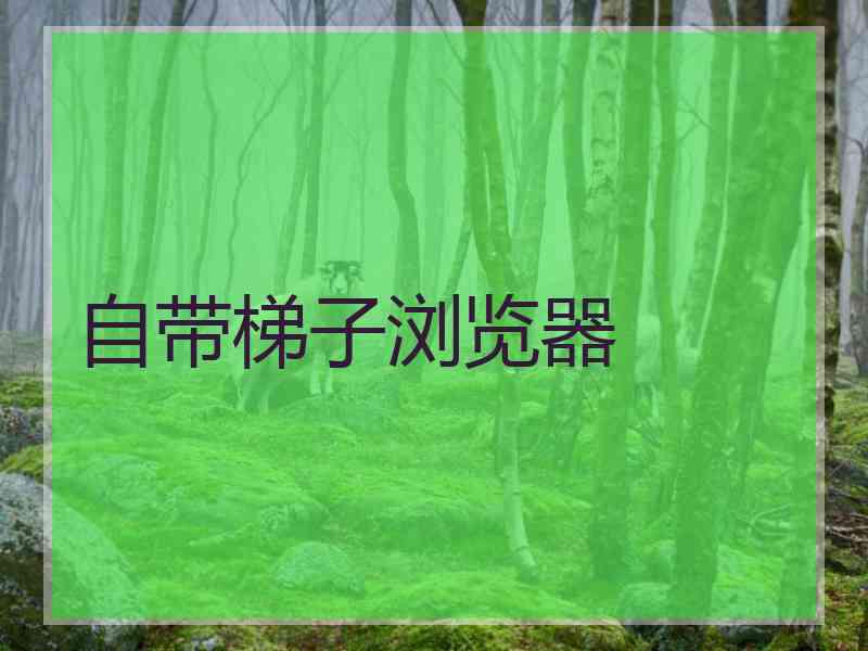 自带梯子浏览器