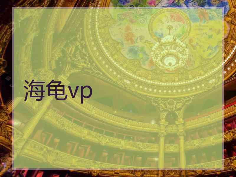 海龟vp