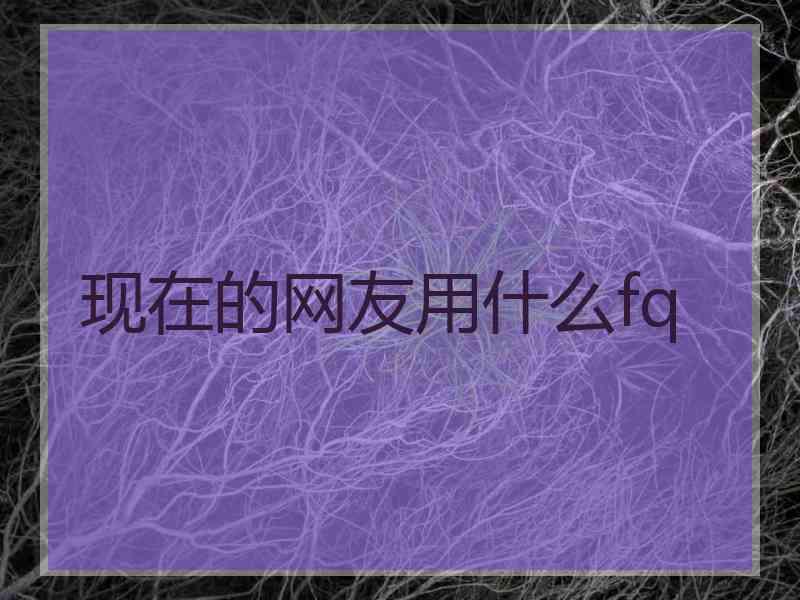 现在的网友用什么fq