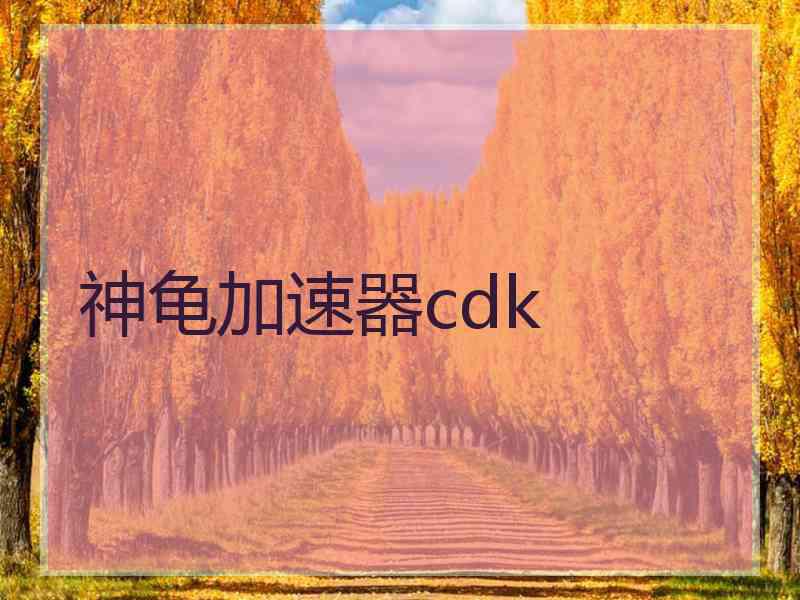 神龟加速器cdk