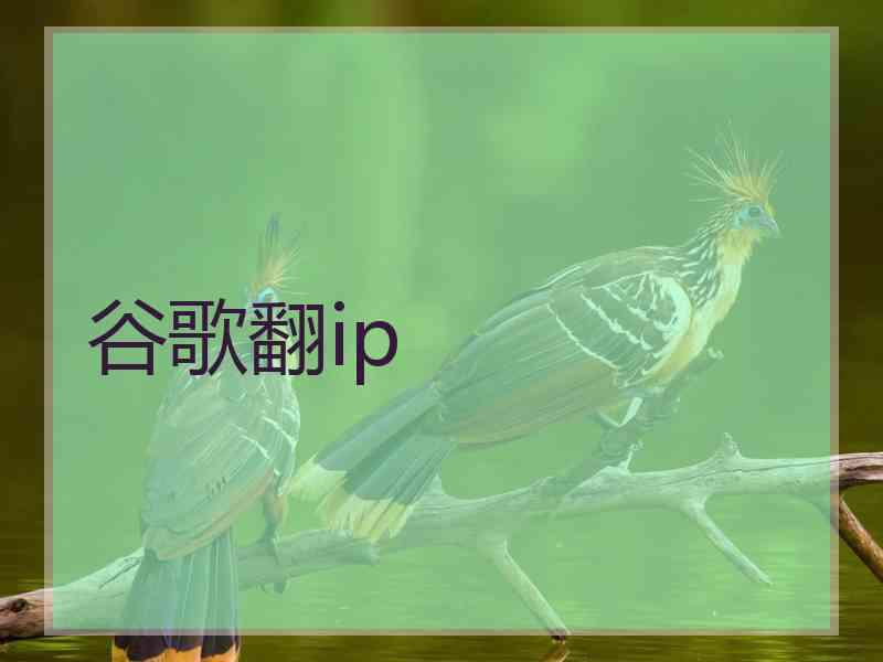 谷歌翻ip