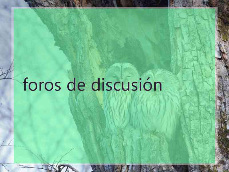 foros de discusión