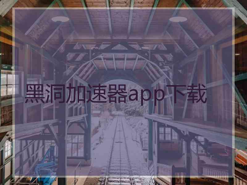 黑洞加速器app下载