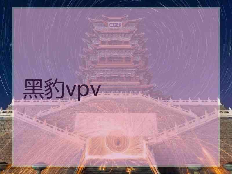 黑豹vpv