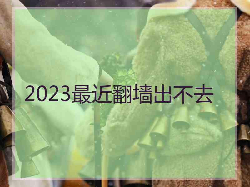 2023最近翻墙出不去