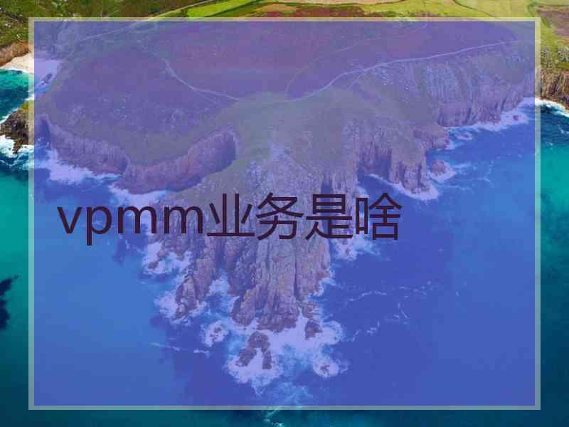 vpmm业务是啥