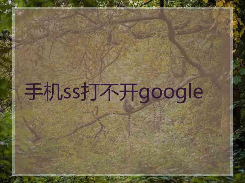 手机ss打不开google